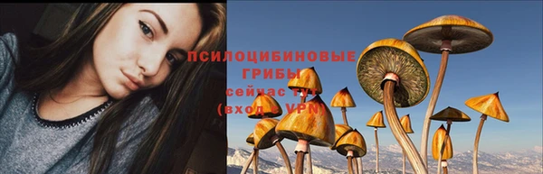 бошки Медногорск