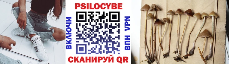 Купить  Рудня  Псилоцибиновые грибы прущие грибы 